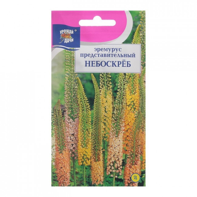 Семена цветов Эремурус "Небоскрёб", 3 шт