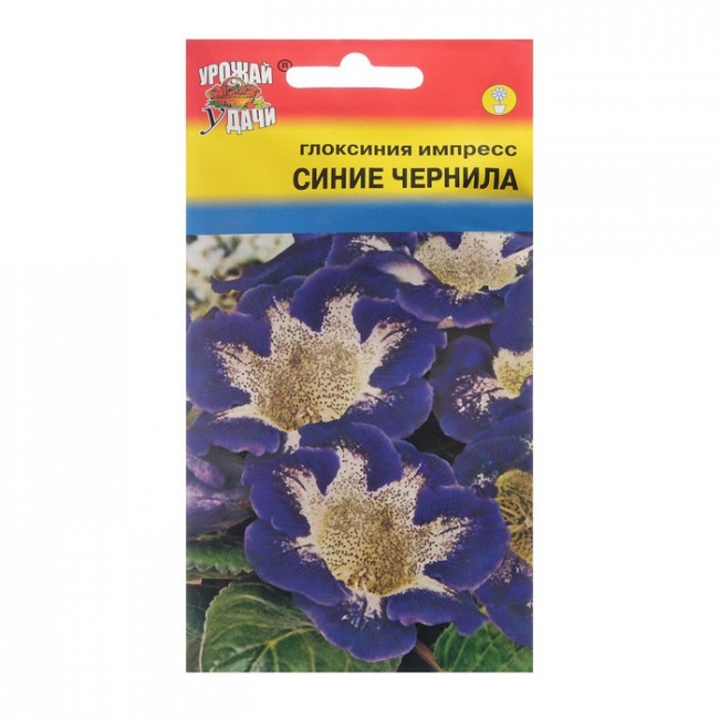 Семена цветов Глоксиния "Импресс Синие чернила", 3 шт. в амп.