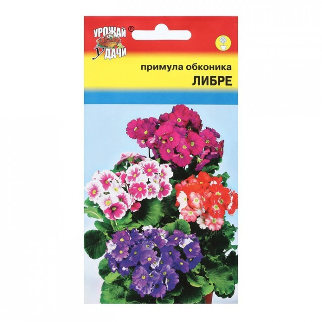 Семена цветов Примула "Обконика Либре микс", 3 шт.