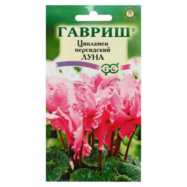 Семена цветов Цикламен "Луна", персидский, 3 шт.